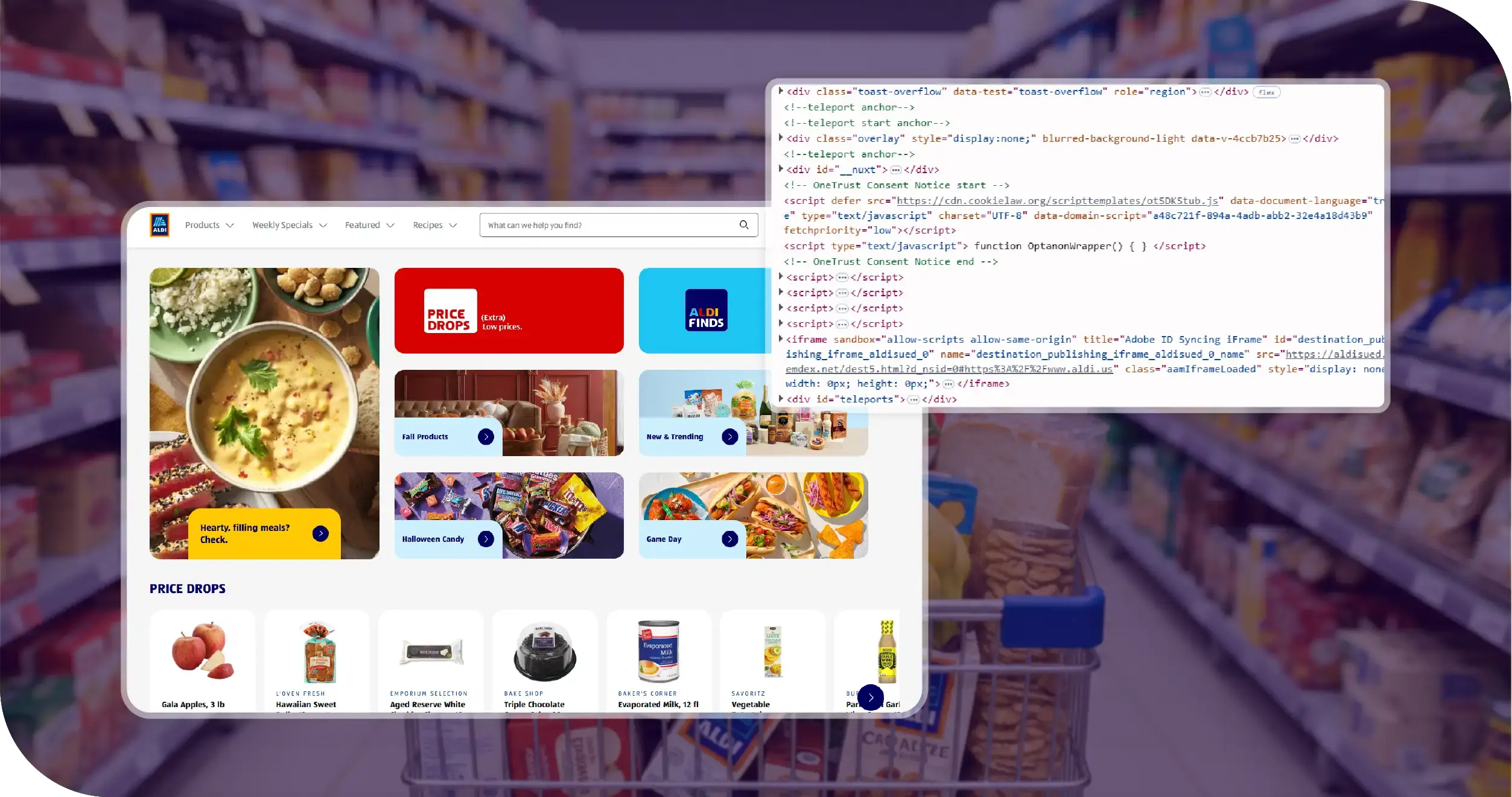 ALDI Grocery Dataset Key Challenges
